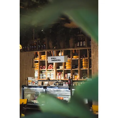 Anjeliq Downtown Boutique
